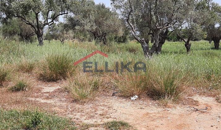 ATTIKIS SQUARE BUILDING PLOT 212sq.m. FOR SALE