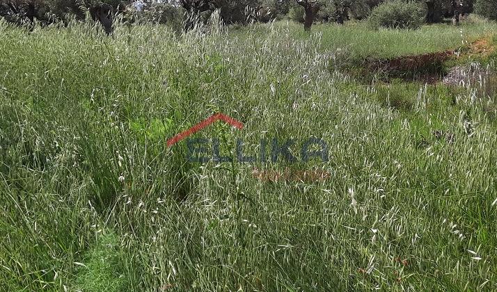 HYMETTUS BUILDING PLOT 333sq.m. FOR SALE