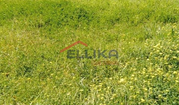 METAKSOURGEIO BUILDING PLOT 420sq.m. FOR SALE