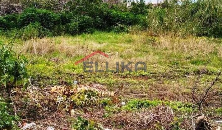 VOTANIKOS BUILDING PLOT 139sq.m. FOR SALE